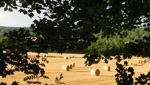 A field with hay bales and trees in the foreground. - Cosy 5m Bell Tent Glamping in Rural Herefordshire (Hereford)