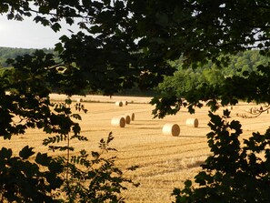 Cabin, 1 Queen Bed | Property grounds - Cosy 5m Bell Tent Glamping in Rural Herefordshire (Hereford)