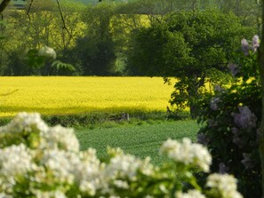 Ferienhütte, 1 Queen-Bett | Garten