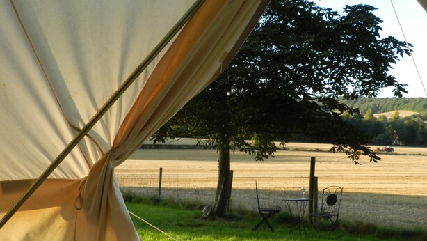 A tent with a view of a grassy field and a tree. - Cosy 5m Bell Tent Glamping in Rural Herefordshire (Hereford)