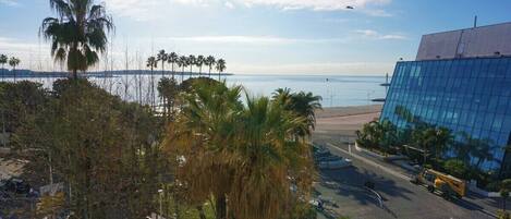 Beach/ocean view