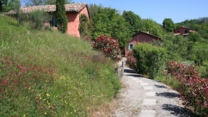 Un sentier rural mène à une maison à toit rouge, entourée d’une végétation luxuriante et de plantes en fleurs.