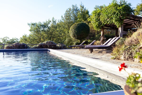 Piscine extérieure, chaises longues
