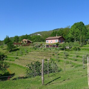 Property grounds - Farm house (Sleeps 10, 5 Bedrooms) (Promiana, Molazzana, Lucca ,Toscana)