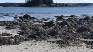 Une côte rocheuse avec, en arrière-plan, une île couverte de forêts.