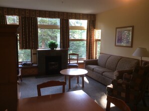 Téléviseur, foyer, lecteur de DVD