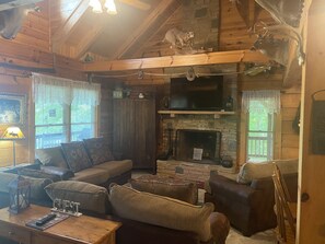 Smart TV, fireplace, DVD player, books