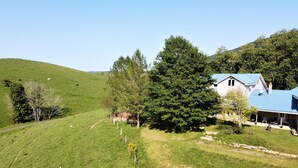 A house with a blue roof, surrounded by a green landscape with a hill in the background.