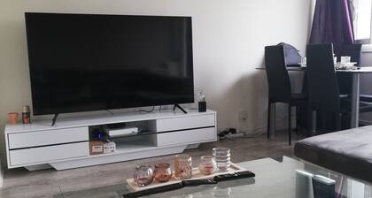 Superbe appartement aux cĆur de PAU