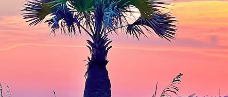بالقرب من الشاطئ
