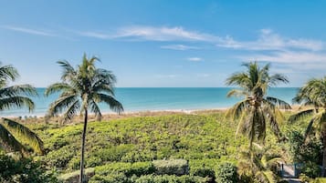 Casa (Seas the Day) | Áreas de la propiedad