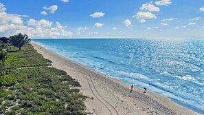 House (The Palm and Shell Captiva Island pri) | Beach