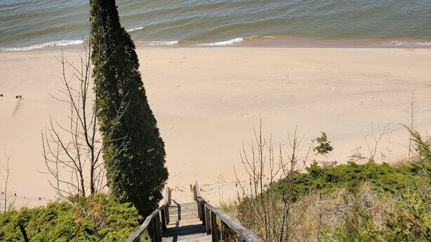 Una playa con un paseo de madera que conduce al agua, rodeada de vegetación.