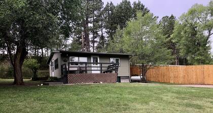 Secluded cabin by lake, pet friendly, quiet