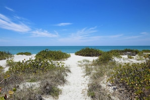 A beach path leading to the ocean with dense vegetation on either side. - Captiva Charm (Captiva)