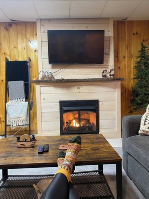 Televisión, chimenea y libros 