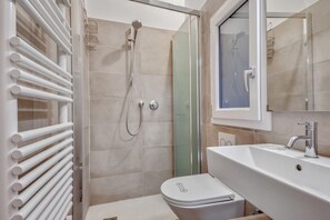 Shower, hair dryer, towels