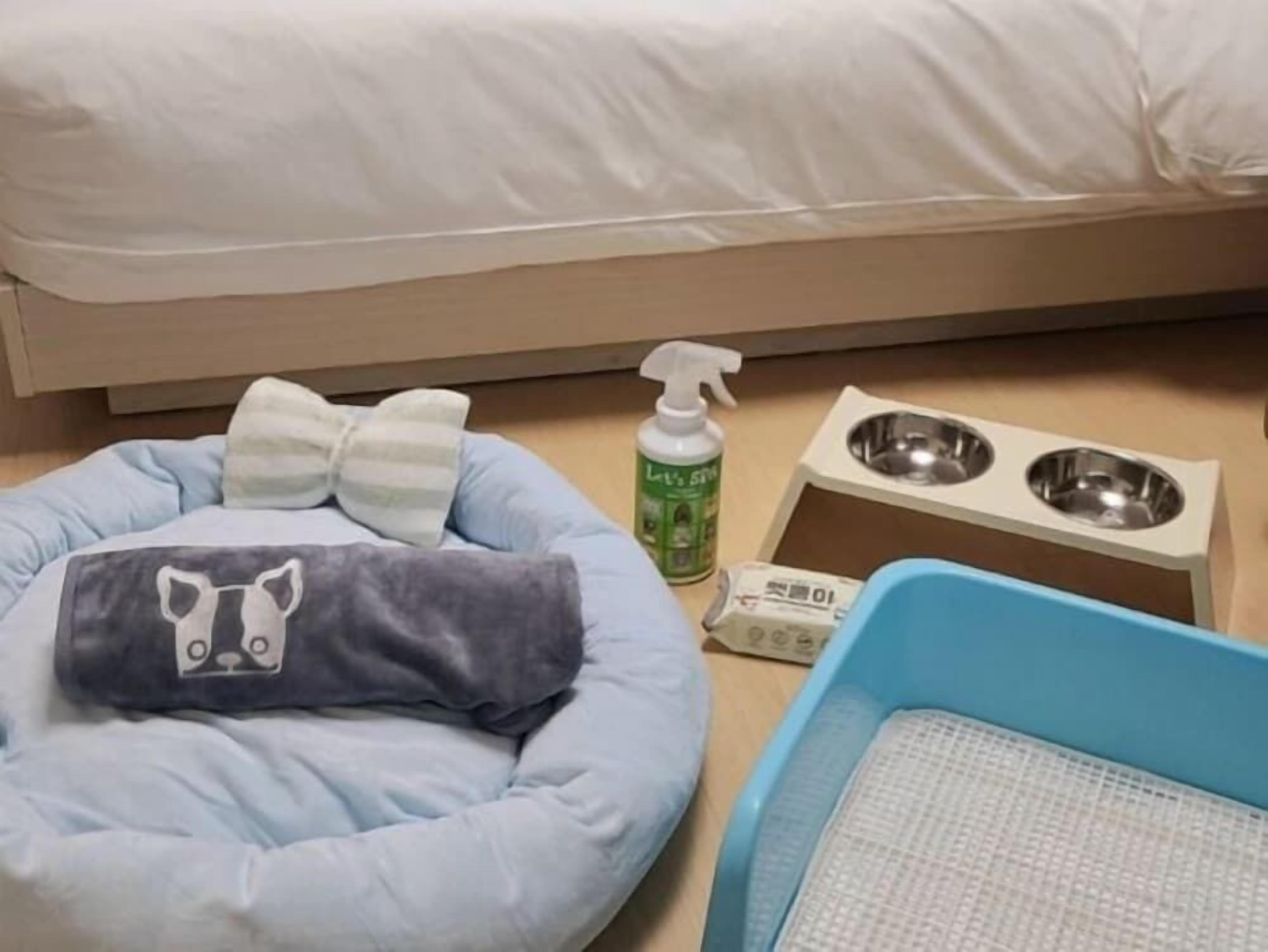 Soundproofing, free WiFi, bed sheets