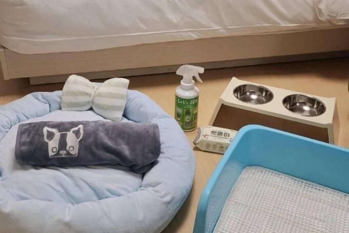 Quartos à prova de som, Wi-Fi de cortesia, roupa de cama