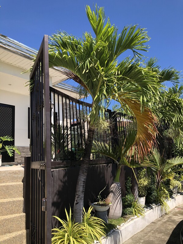 Exterior detail - Vacation villa (Alaminos City)