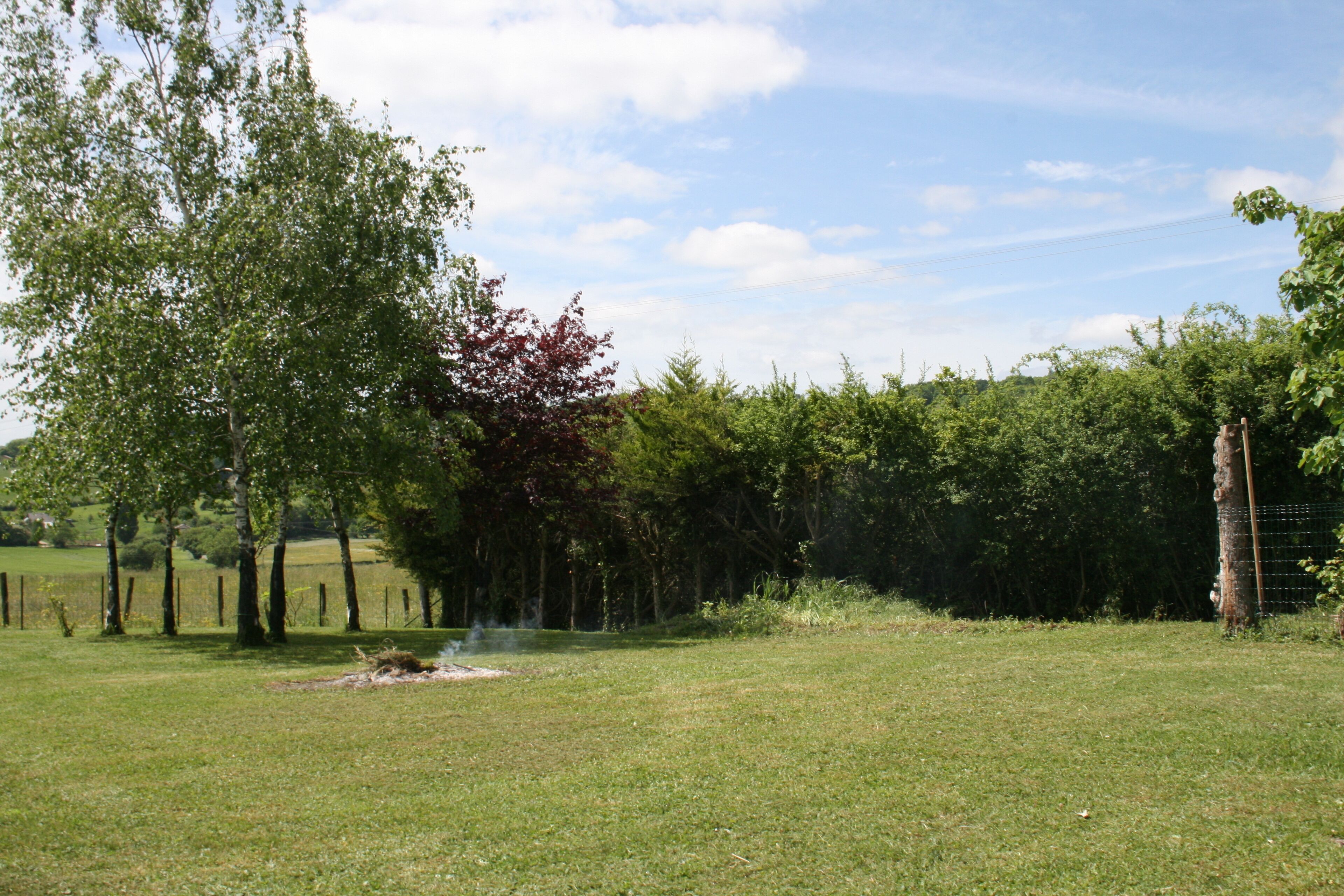 Een grasveld met bomen en een omheining.