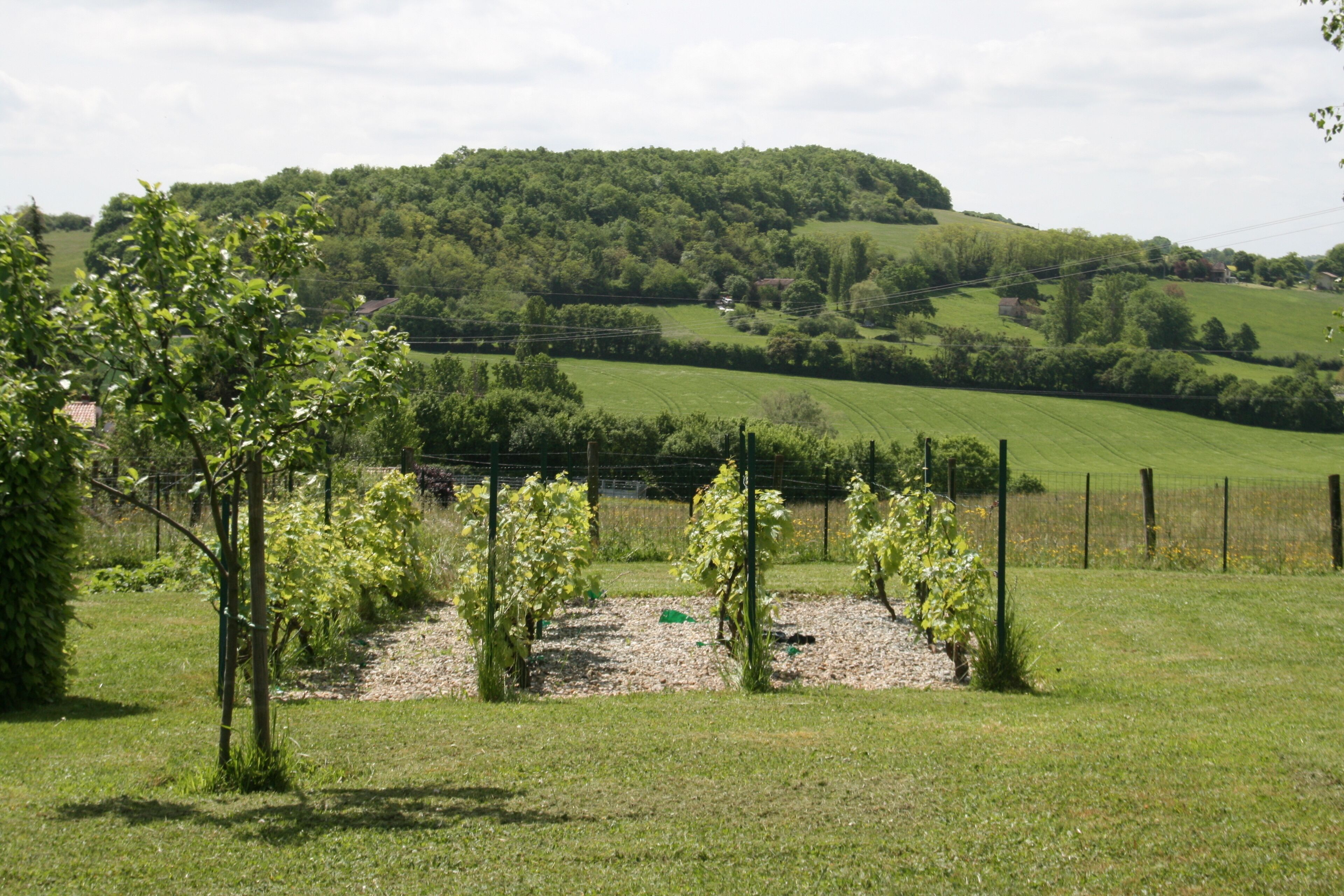 Un paysage rural avec des collines ondoyantes, une zone délimitée par une clôture où de jeunes arbres sont plantés, et un village situé au loin.