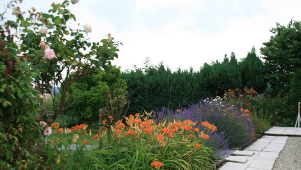 En have med forskellige planter og blomster, en grussti og et træhegn.