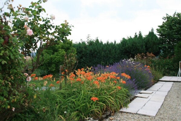 Property grounds - 1 Bedroom House 20min walk to centre in Tournus (Tournus)