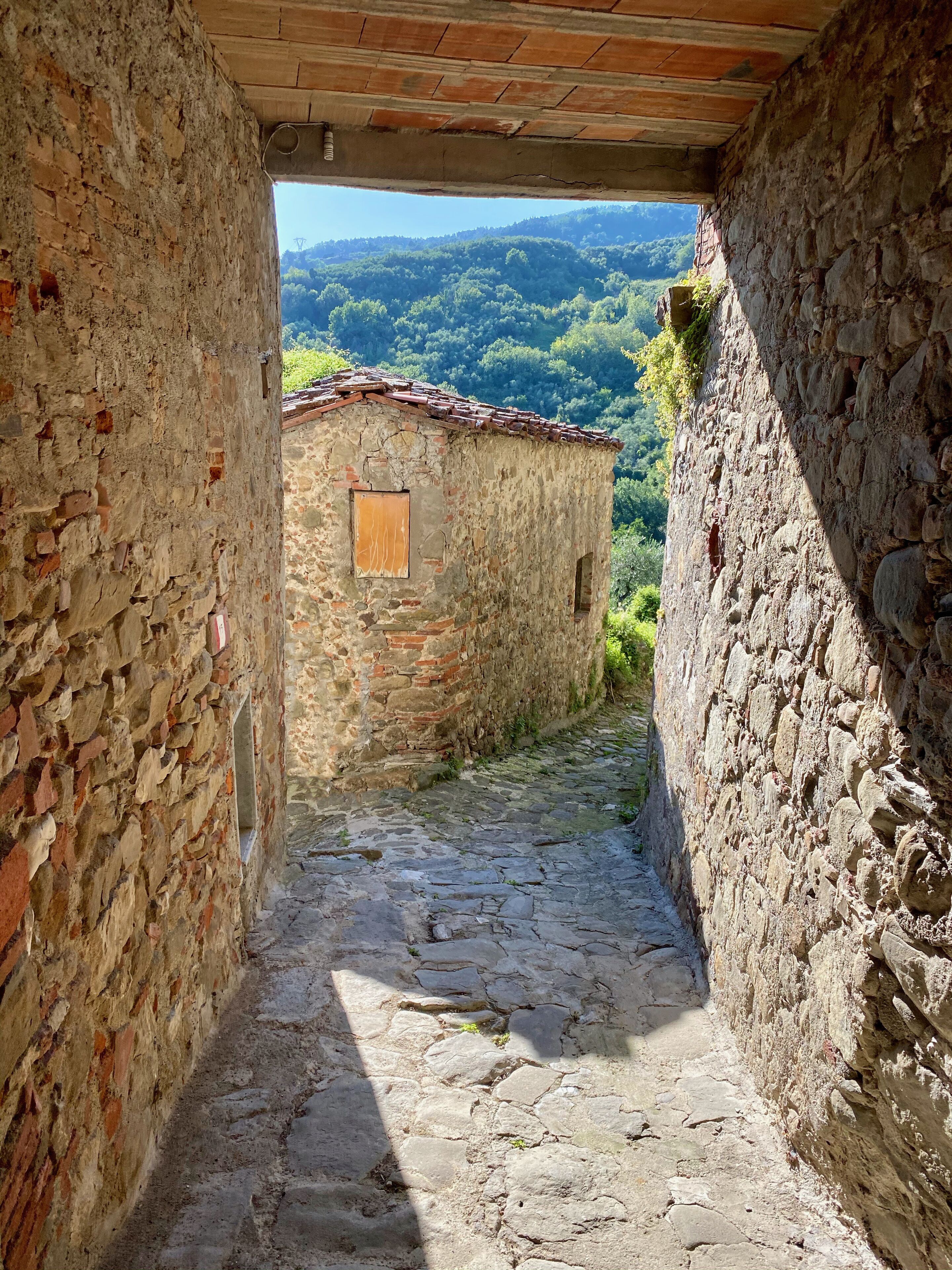 Parco della struttura