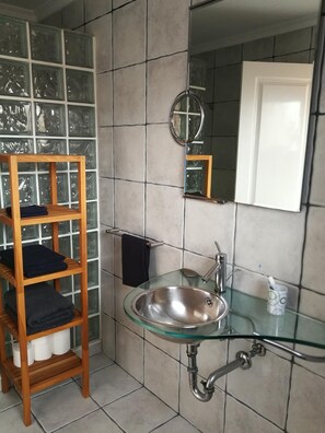Shower, hair dryer, bidet, towels