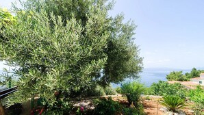 A garden with a variety of plants and a view of the sea. - Apartments Villa Bella Vista (Orebic)