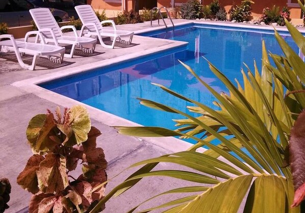 Shared Dormitory, 1 Bedroom, Terrace | Pool | Outdoor pool