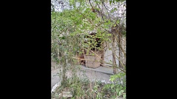 Room, 1 Bedroom, Balcony | Garden