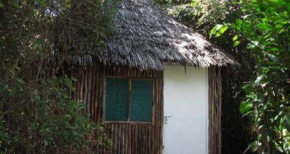 Room-mida Creek Eco Camp - Relax in Cosy