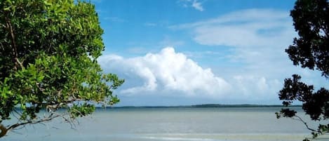 Chambre, 1 chambre, balcon | Plage