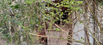 Room in B&B - Mida Creek Eco Camp - Relax in Cosy Cottage