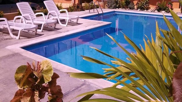 Une piscine avec des chaises longues et une plante au premier plan.