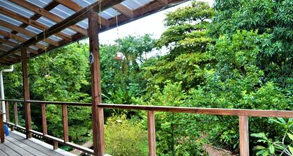 Treetop 'jungle Like' Escape in San Ignacio Your Belize Oasis Awaits!