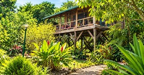 Une cabane en bois dotée d’un balcon, entourée d’une végétation luxuriante et de diverses espèces de plantes.