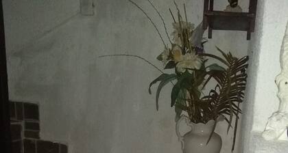 Room-comfortable inn Green Sea Villa Hel