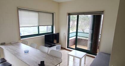Samil Beachfront Apartment