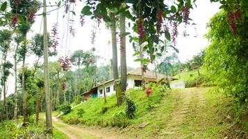 Escape to a serene rural retreat surrounded by lush greenery and trees.