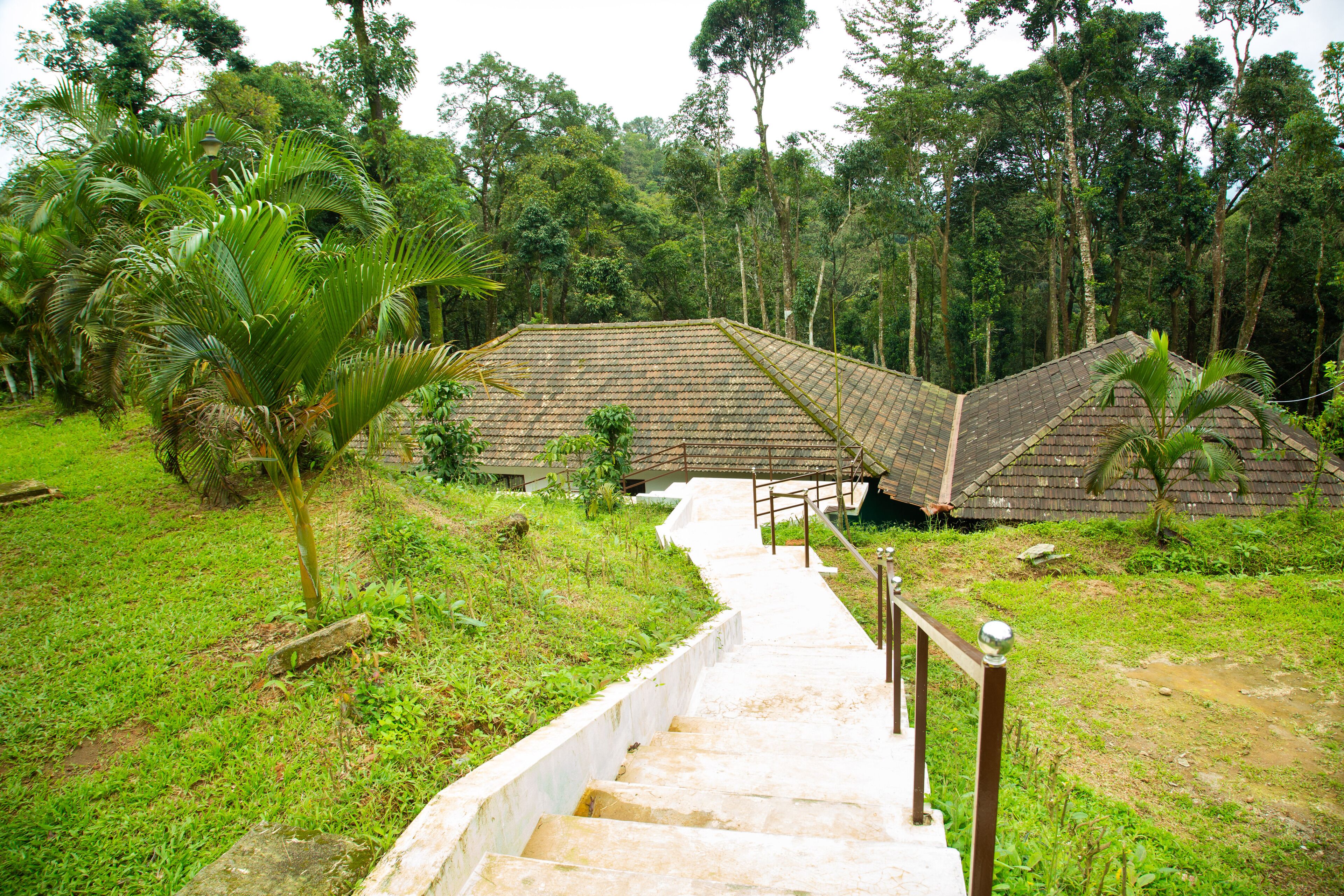 Room, 1 Bedroom, Balcony, Garden View | Property grounds