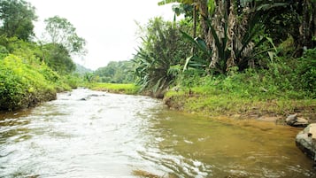Phòng, 1 phòng ngủ, ban công, quang cảnh vườn | Khác