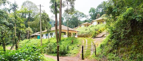 Room, 1 Bedroom, Balcony, Garden View | Property grounds