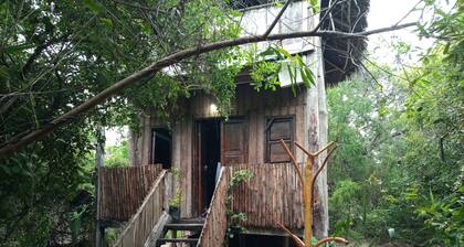 Room-mida Creek Eco Camp - Cottage House