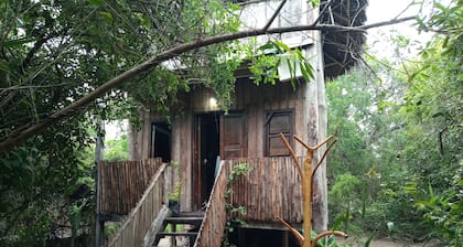 Room in B&B - Mida Creek Eco Camp - Cottage House