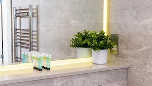 Casa de banho com bancada de mármore, espelho, porta-toalhas e uma planta em vaso.
