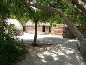 Shared Dormitory, 1 Bedroom, Garden View | Garden - Room-mida Creek Eco Camp - Lodge (Watamu)