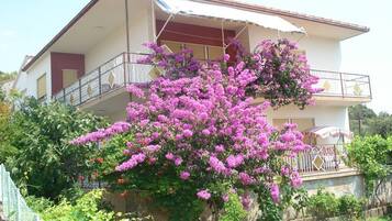 Apartment, 1 Bedroom, Smoking, Balcony | Front of property